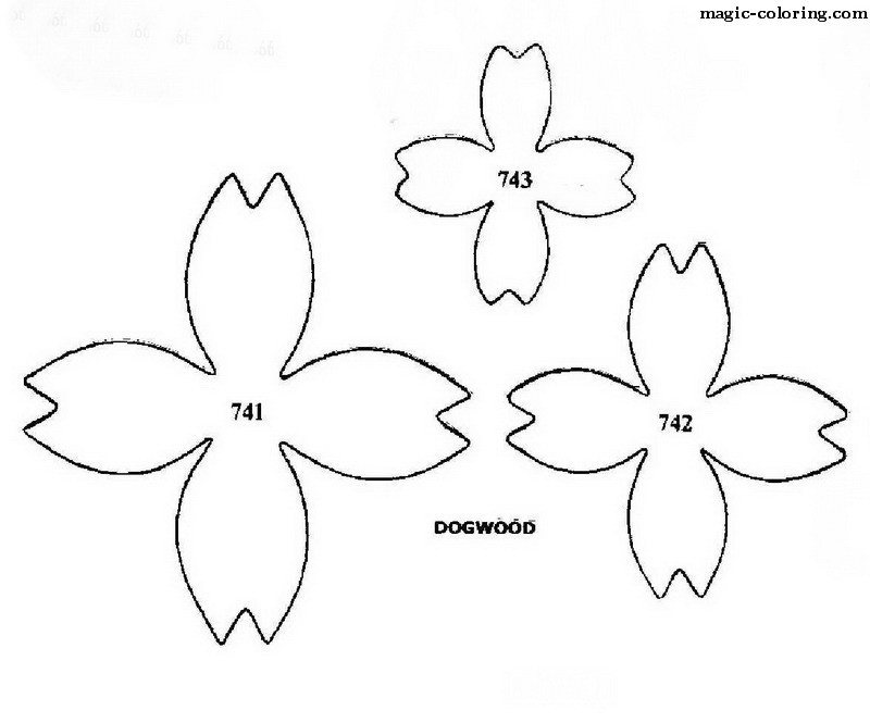 dogwood flower coloring pages - photo #28