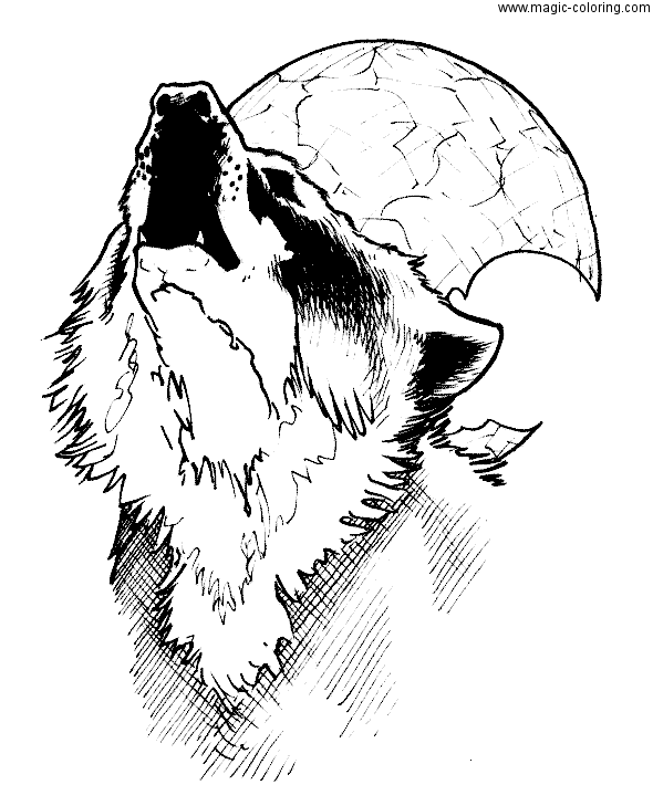 MAGIC-COLORING | Wolf coloring pages